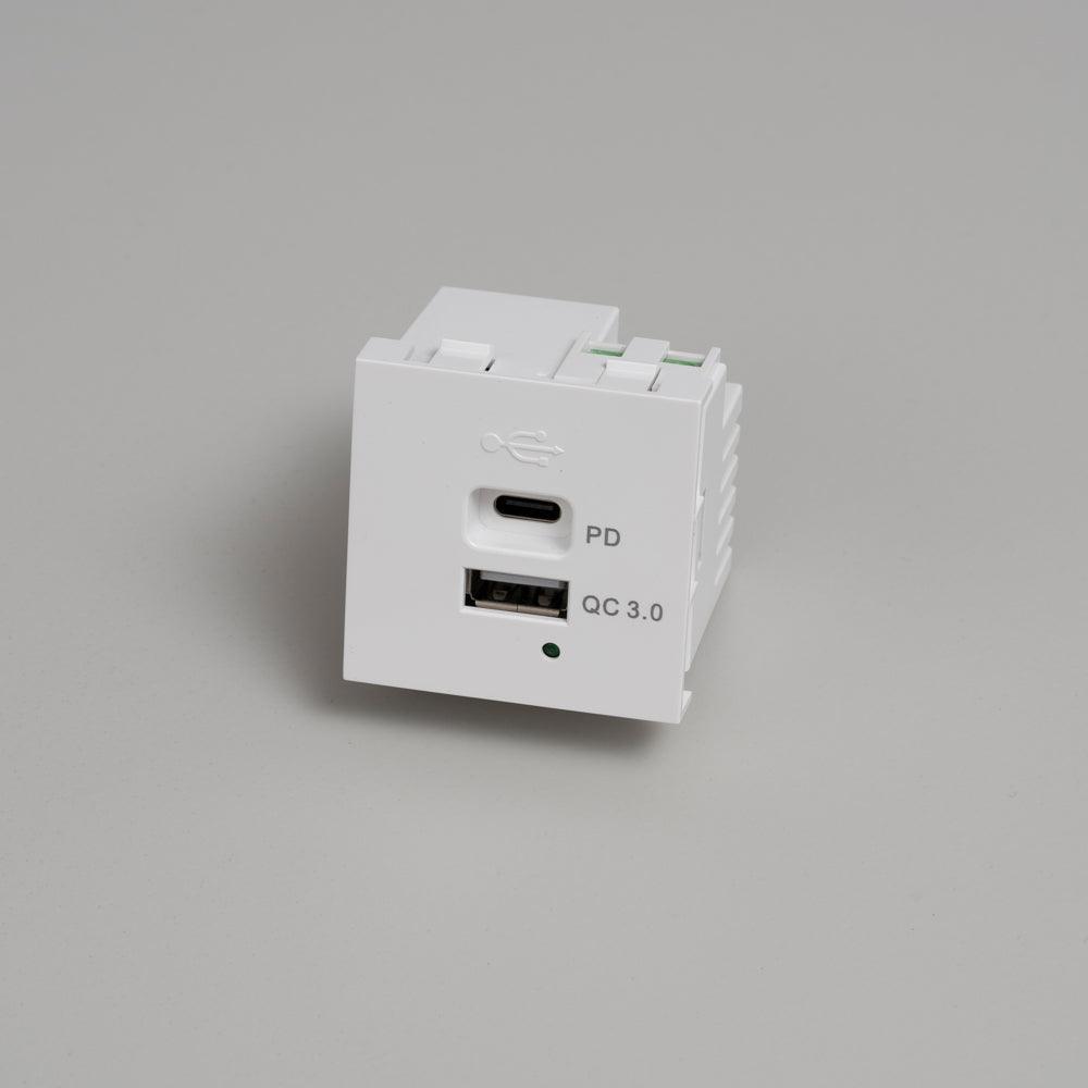 MODUL F45 - USB A + C EINSATZ - DAS_OBJEKT (7675164524757)