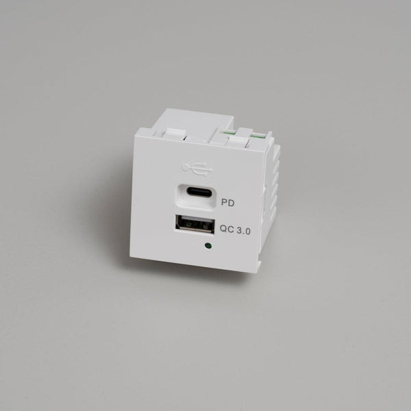 MODUL F45 - USB A + C EINSATZ - DAS_OBJEKT (7675164524757)