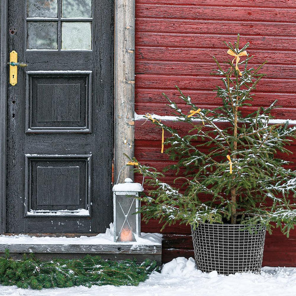 PFLANZENSACK FÜR METALLKORB VON KORBO - DAS_OBJEKT (9170665353)