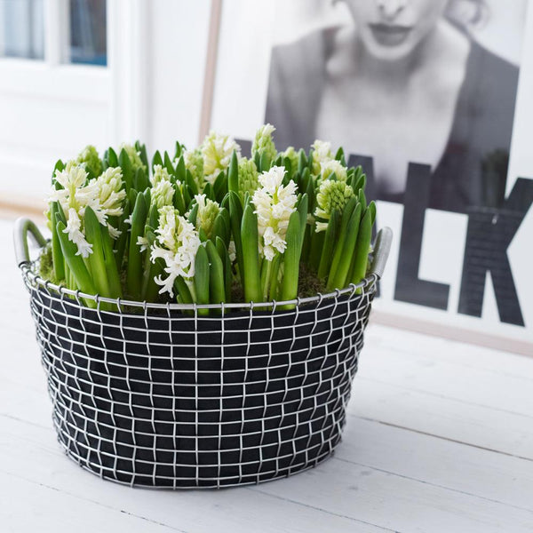 PFLANZENSACK FÜR METALLKORB VON KORBO - DAS_OBJEKT (9170665353)