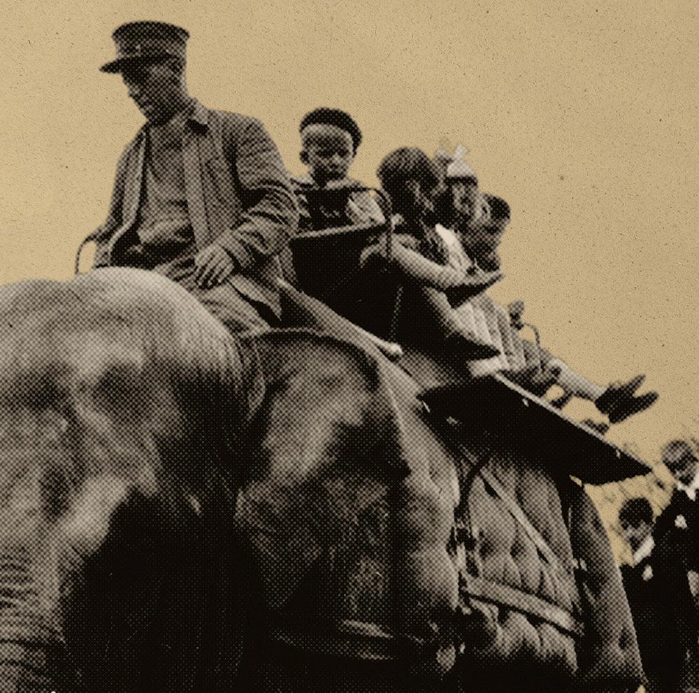 RIDE AN ELEPHANT – LIMITED PRINT - DAS_OBJEKT (7728047685845)
