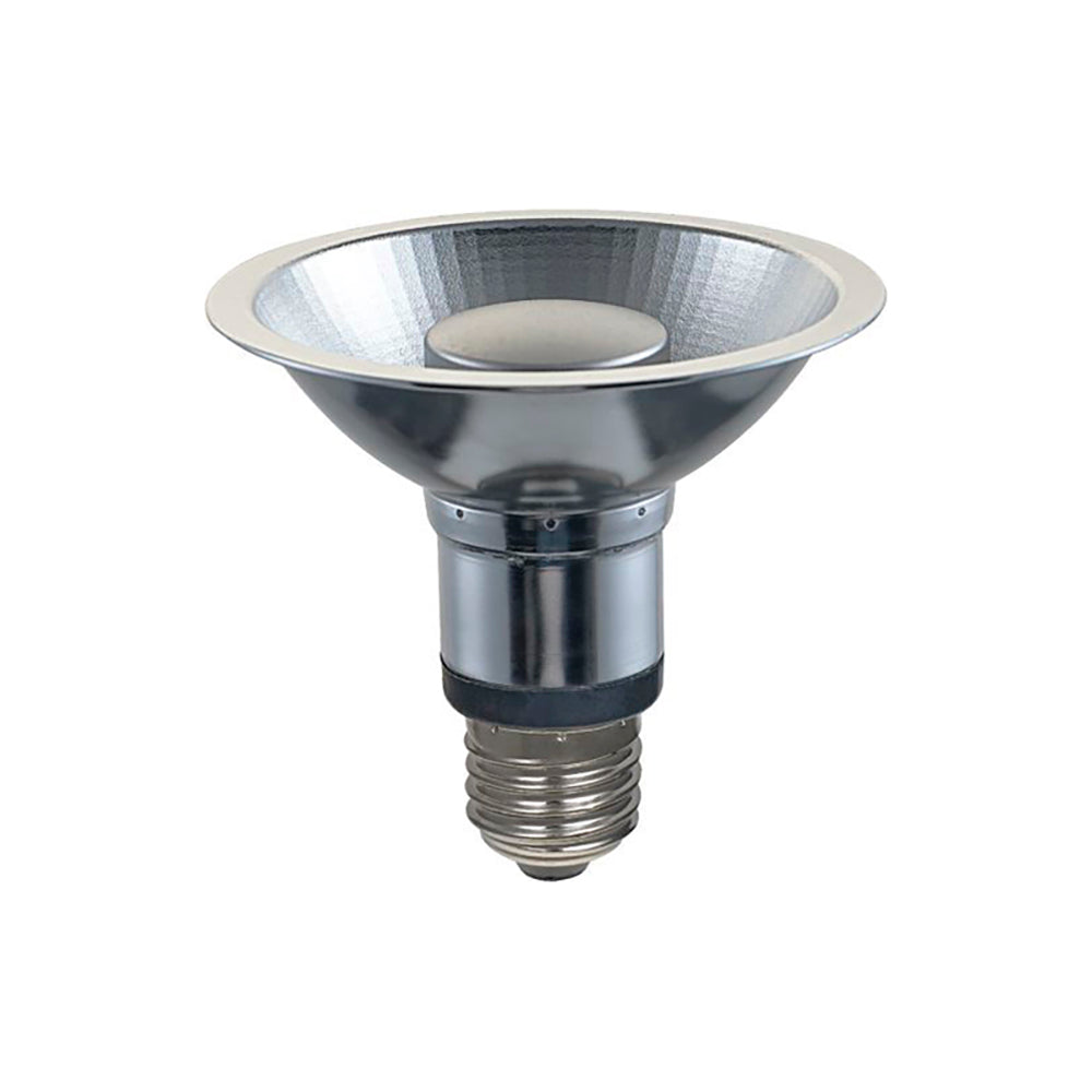 PAR30 12W LED-LEUCHTMITTEL