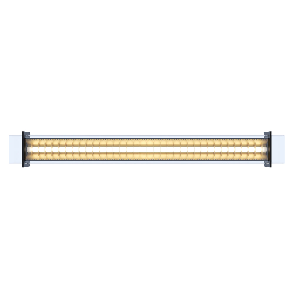 <transcy>BRUEGHEL TUBE 1000</transcy>
