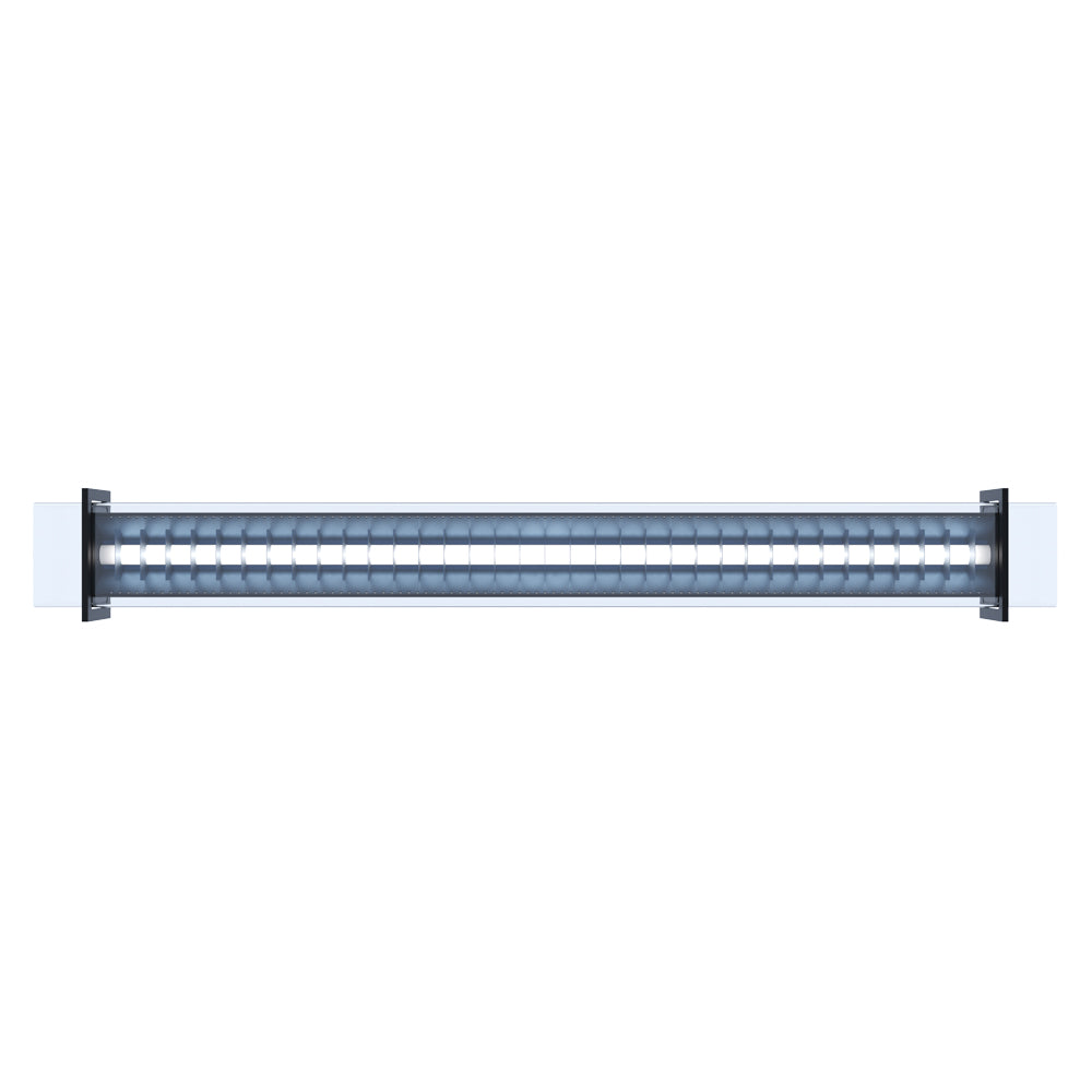 <transcy>BRUEGHEL TUBE 1000</transcy>