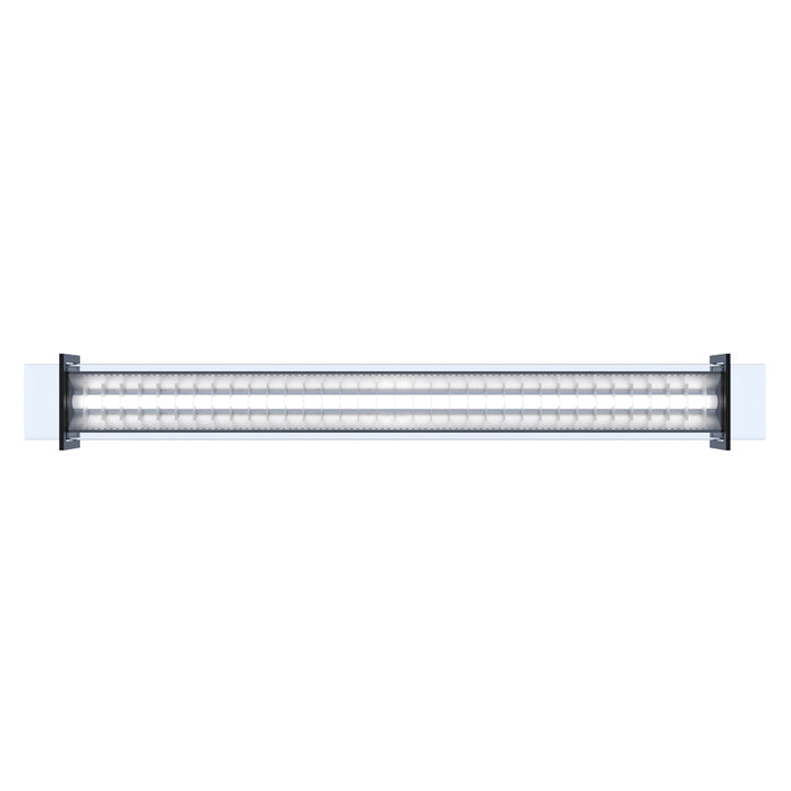 <transcy>BRUEGHEL TUBE 1000</transcy>