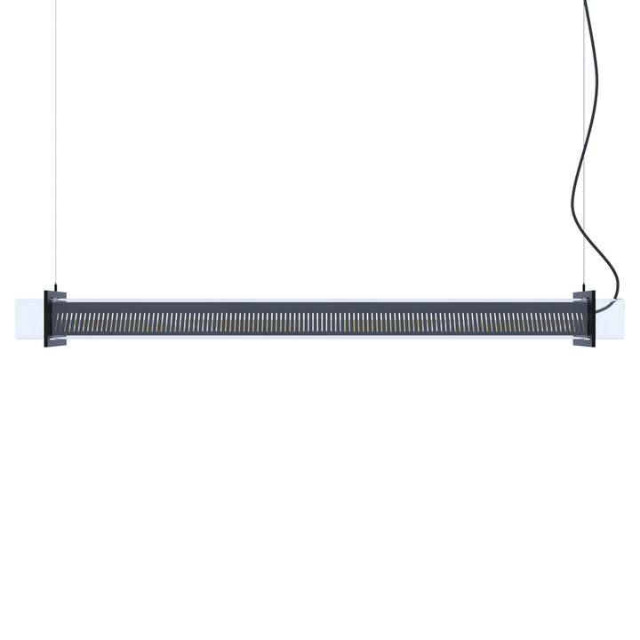 <transcy>BRUEGHEL TUBE 1000</transcy>
