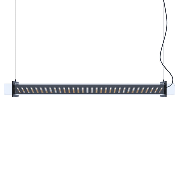 <transcy>BRUEGHEL TUBE 1000</transcy>