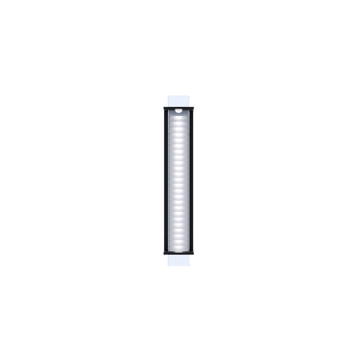 <transcy>BRUEGHEL TUBE 1000</transcy>