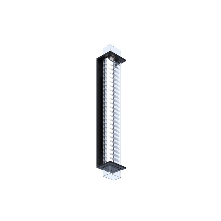 <transcy>BRUEGHEL TUBE 1000</transcy>