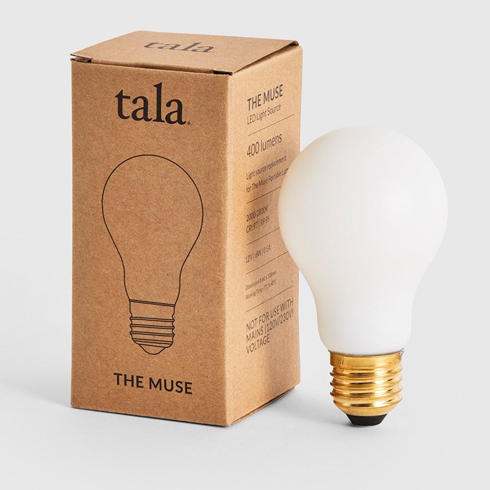 MUSE LEUCHTMITTEL 6W - DAS_OBJEKT (8180898398421)