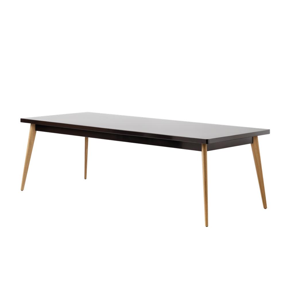 TISCH 55 240/100 HOLZPLATTE - DAS_OBJEKT (8268411470037)