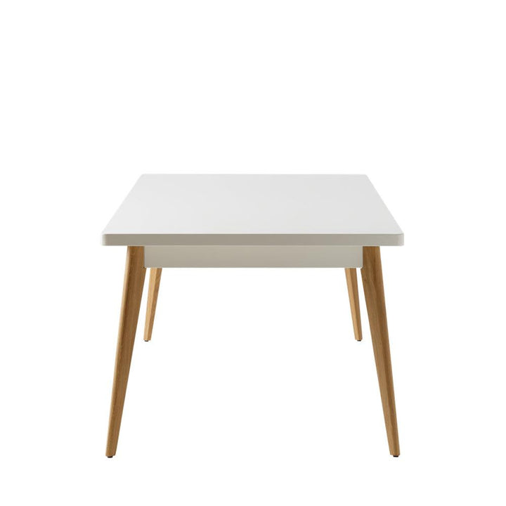 TISCH 55 240/100 HOLZPLATTE - DAS_OBJEKT (8268411470037)