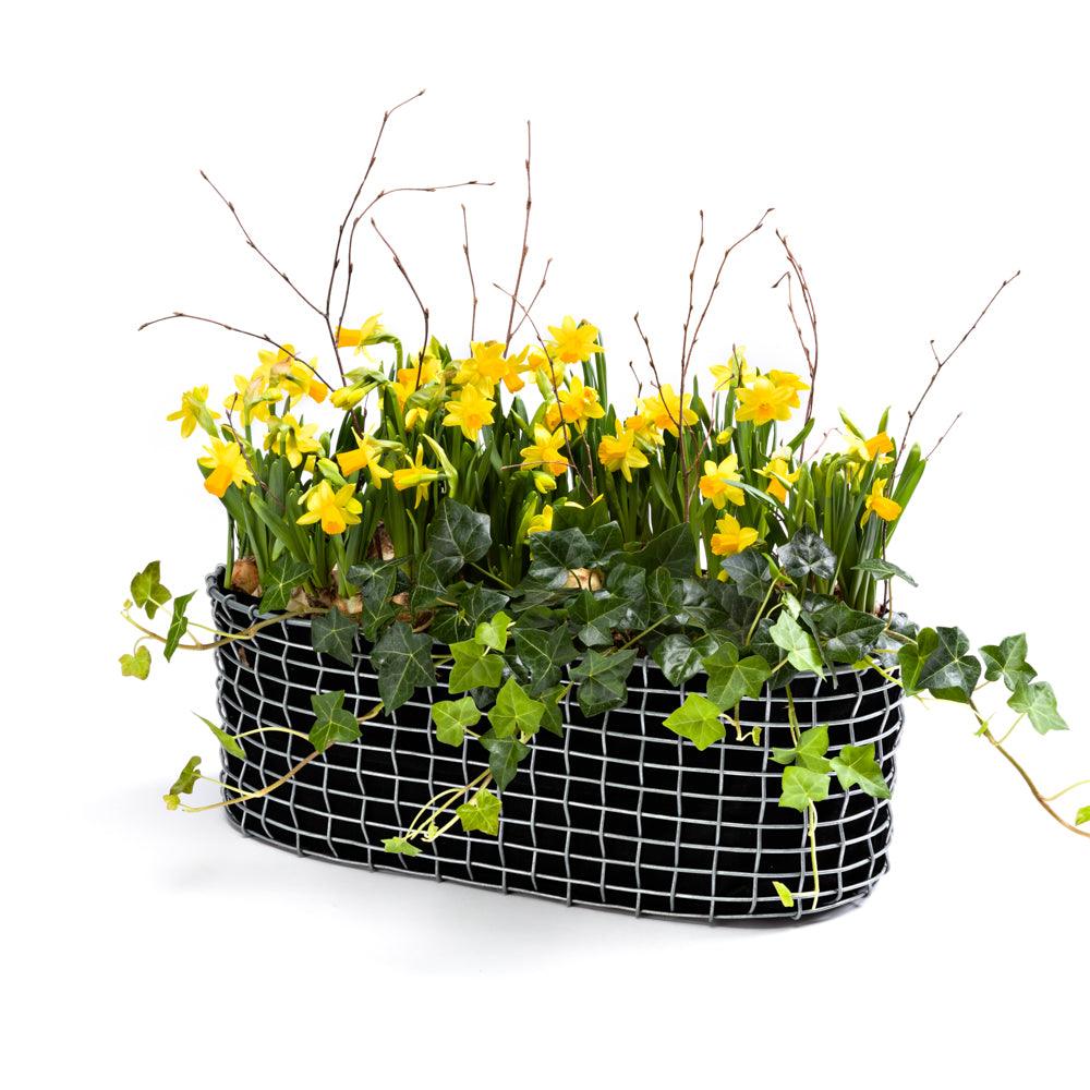 BALCONY PLANTING BASKET – BALKONPLANZEN-METALLKORB - DAS_OBJEKT (7901717233877)