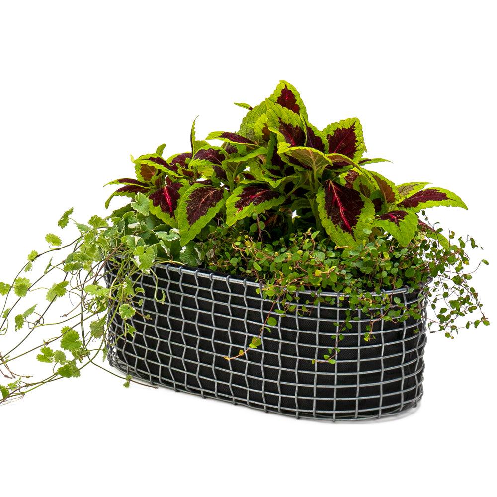 BALCONY PLANTING BASKET – BALKONPLANZEN-METALLKORB - DAS_OBJEKT (7901717233877)