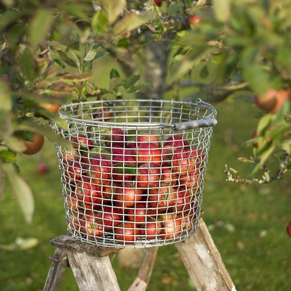 BUCKET 20 – METALLKORB MIT HENKEL - DAS_OBJEKT (3013999231057)