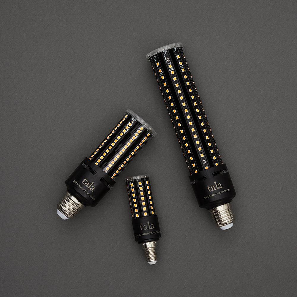 LIGHT ENGINE II LED-LEUCHTMITTEL - DAS_OBJEKT (4599071572049)