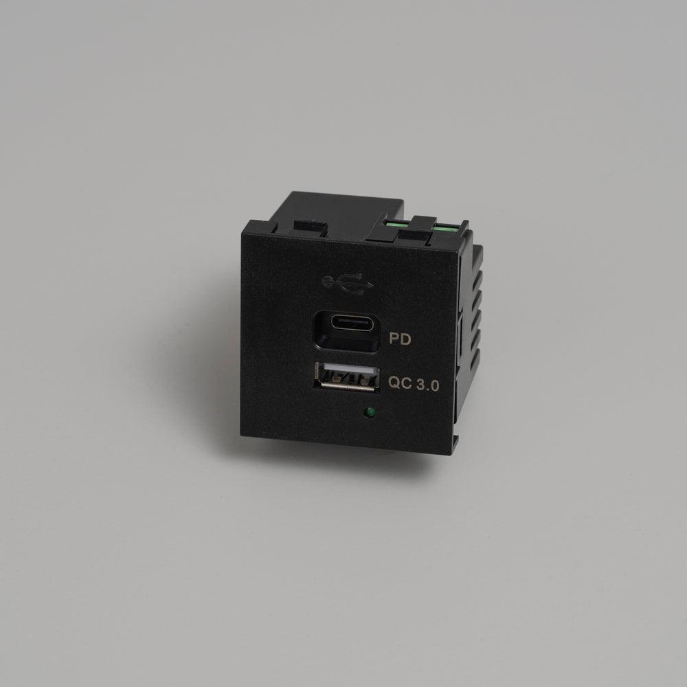 MODUL F45 - USB A + C EINSATZ - DAS_OBJEKT (7675164524757)