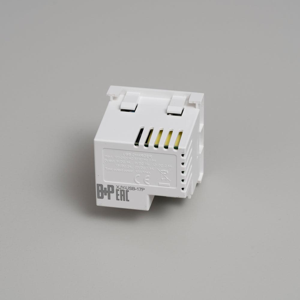MODUL F45 - USB A + C EINSATZ - DAS_OBJEKT (7675164524757)
